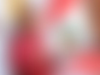 Congreso autoriza viaje de Boluarte a Japón e Indonesia con 63 votos a favor