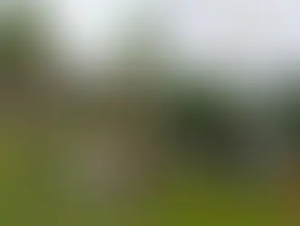 Nueva provocación en la frontera: bandera colombiana izada en zona peruana, Tres Fronteras.