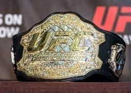 MID-YEAR UFC AWARDS