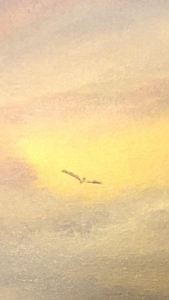 Flying High 10X30