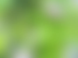 夏の雨、でもがんばってます