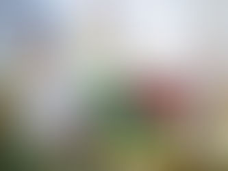 ブラックボード・新生活バージョン