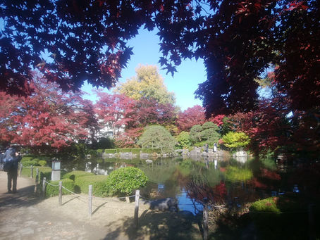 もみじ公園の紅葉は?