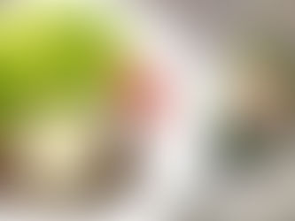 ごちそう!おろしハンバーグ