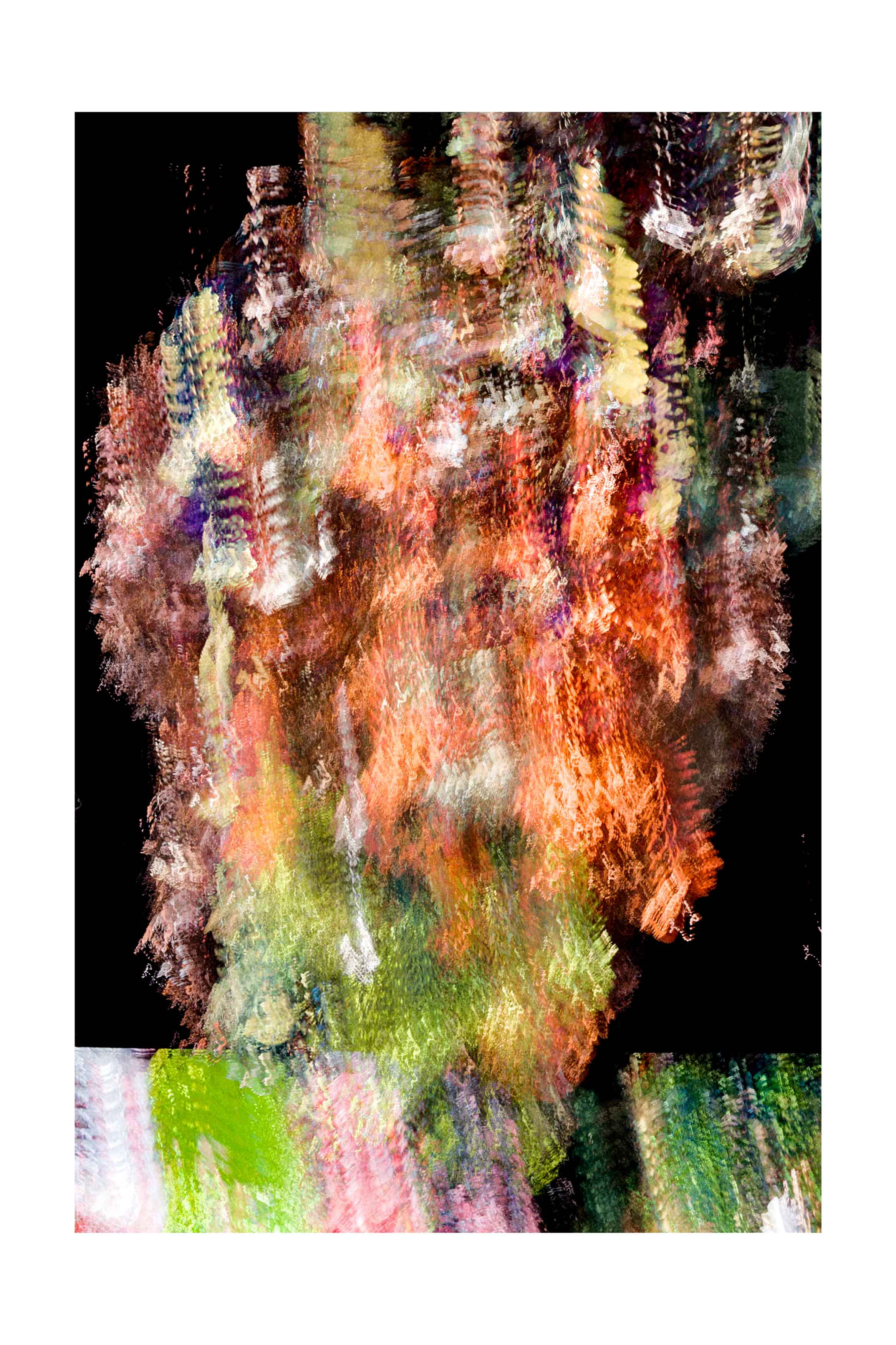 Liming Fu - The Flowing Garden 2 - 40cm x 60cm - Microprint on Paper