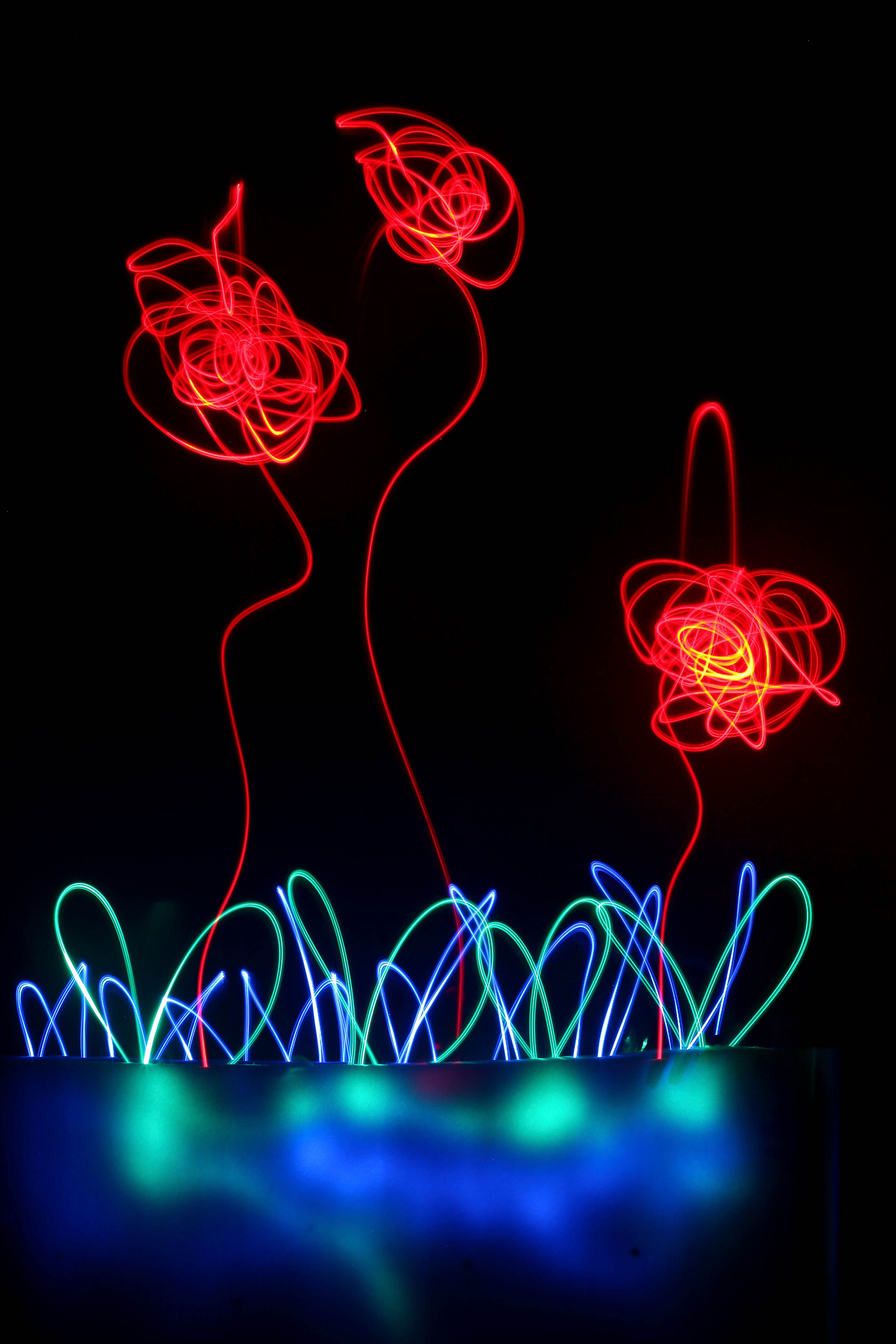 SOLD - Liming Fu - Roses of Midsummer 5 - 40cm x 60cm - Microprint on Paper