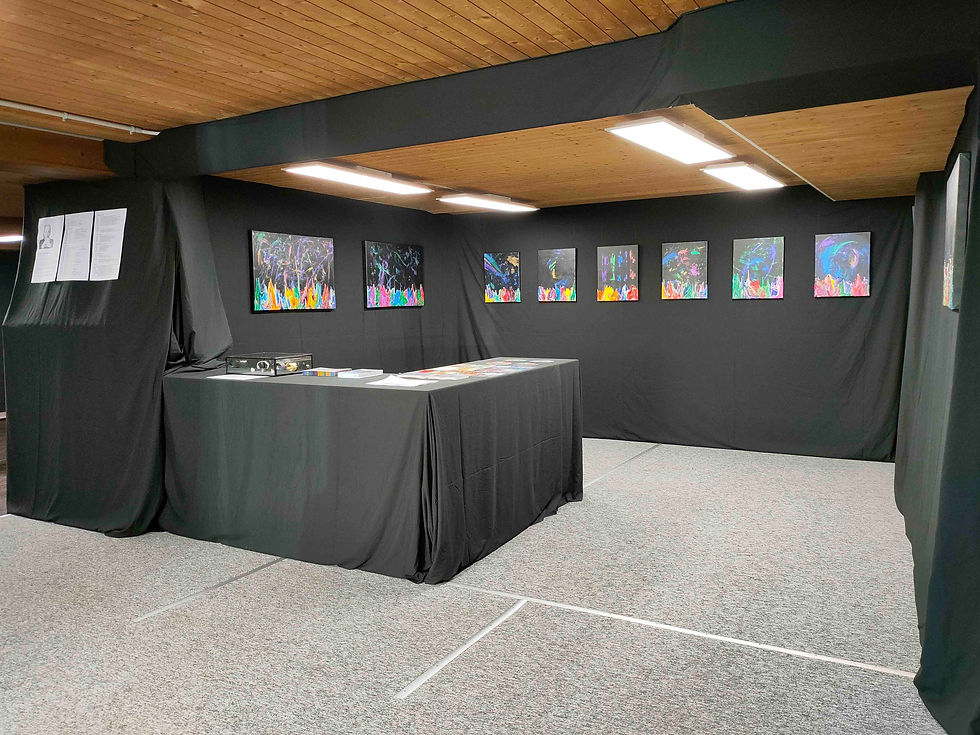 Antonio Wehrli Art Space - Galaxy Gravity Exhibition View 5