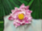 Detail Lianhua 18 - 部分荷叶田田 18
