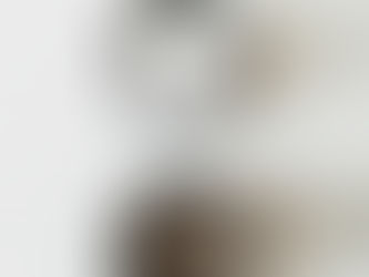 わが家愛用のお塩をご紹介☆プロテインより天然塩◎