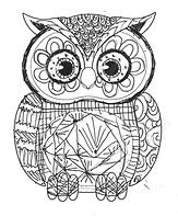 Zentangles Owl