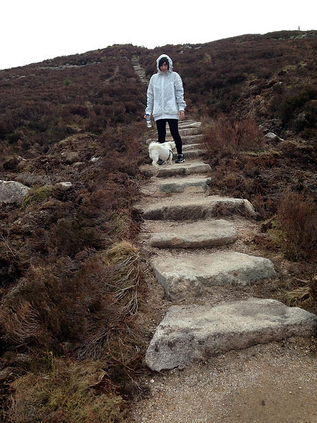 bennachie.jpeg