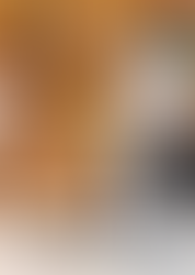 Three Instances of Not Meeting Jarvis Cocker by Sam Hall