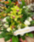C41488A0-4D43-4C21-9DE3-486C4246A99A_edited.jpg