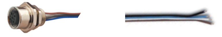 EDM_Tag_P2151_RGB_Logo.png