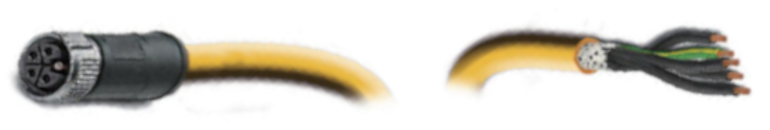 EDM_Tag_P2151_RGB_Logo.png