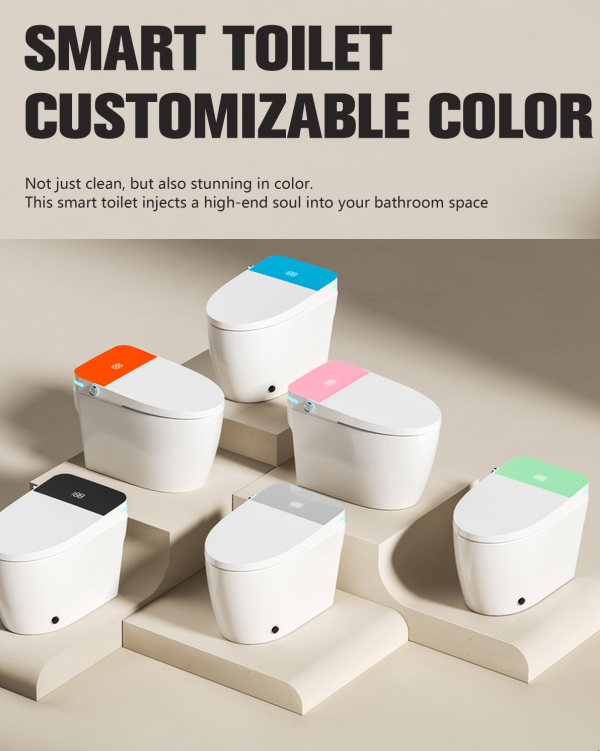 toilet brochure 2.png