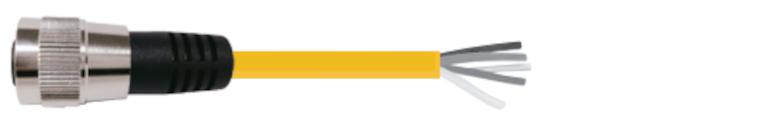 EDM_Tag_P2151_RGB_Logo.png