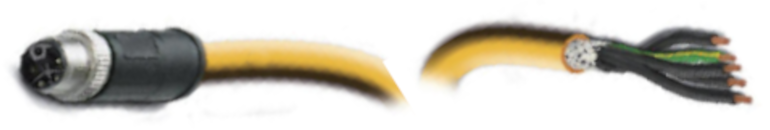 EDM_Tag_P2151_RGB_Logo.png