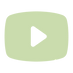ph_youtube-logo-fill
