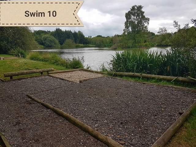 Swim 10
