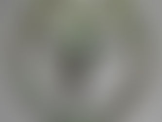 LILA - IL GIOCO COSMICO