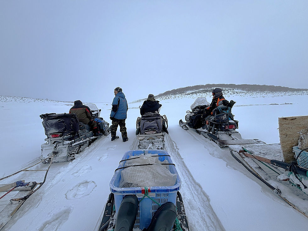 Scouting for big bears