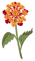 13.png