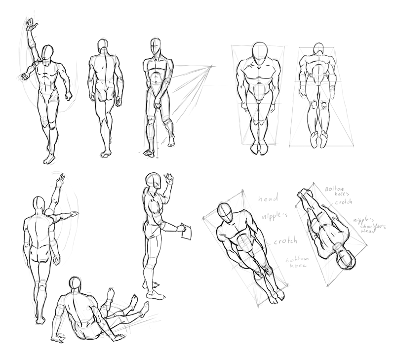 study003