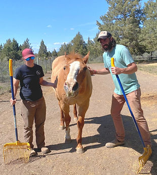 unnamed (6)_edited_edited.jpg