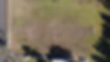 DJI_0555.JPG