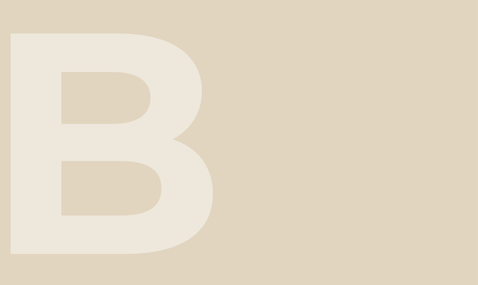 Boldness—Blackbird Partners leads aviation development with faith, courage, and purpose