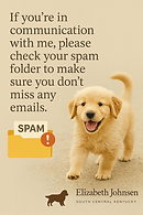 13DA08BB-0064-4780-B133-9B141ECD5E61.png