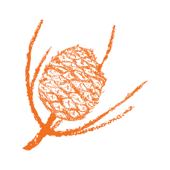 It’Your Time Business coaching
