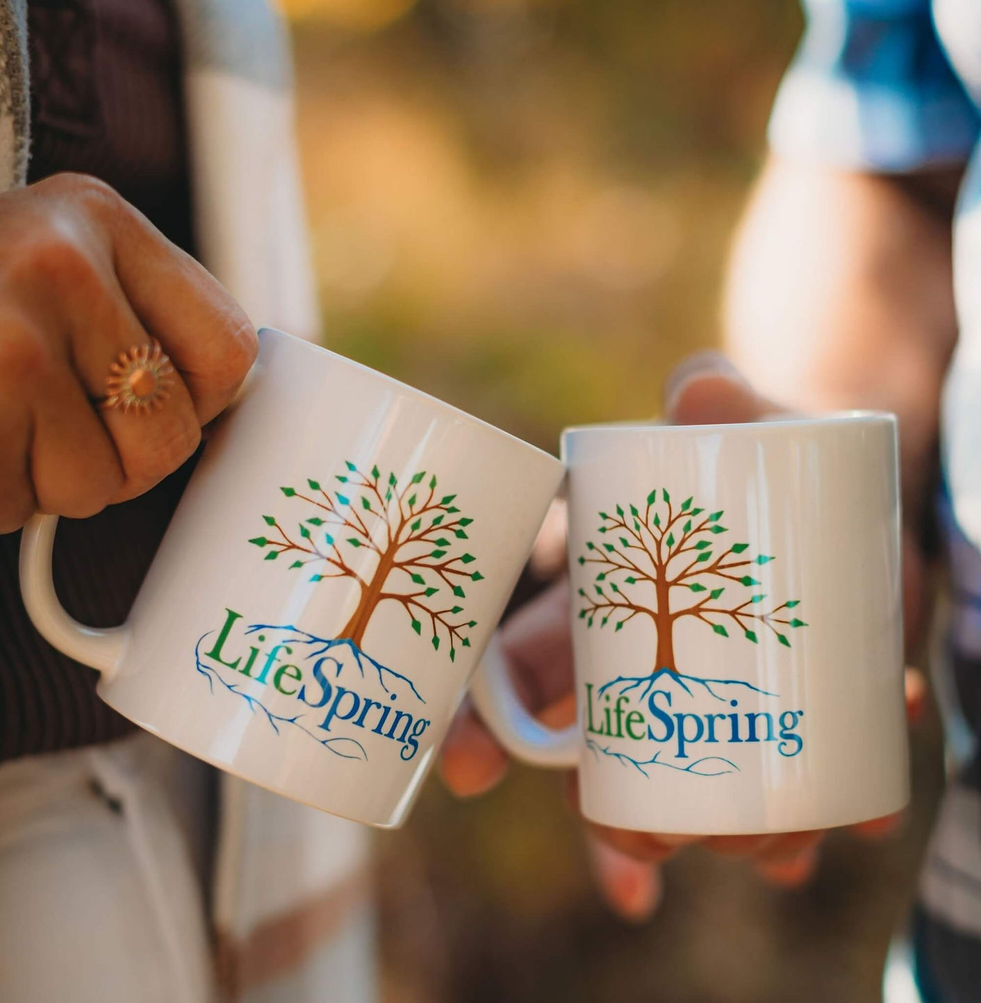 about_lifespring_counseling_jackson_mi.jpg