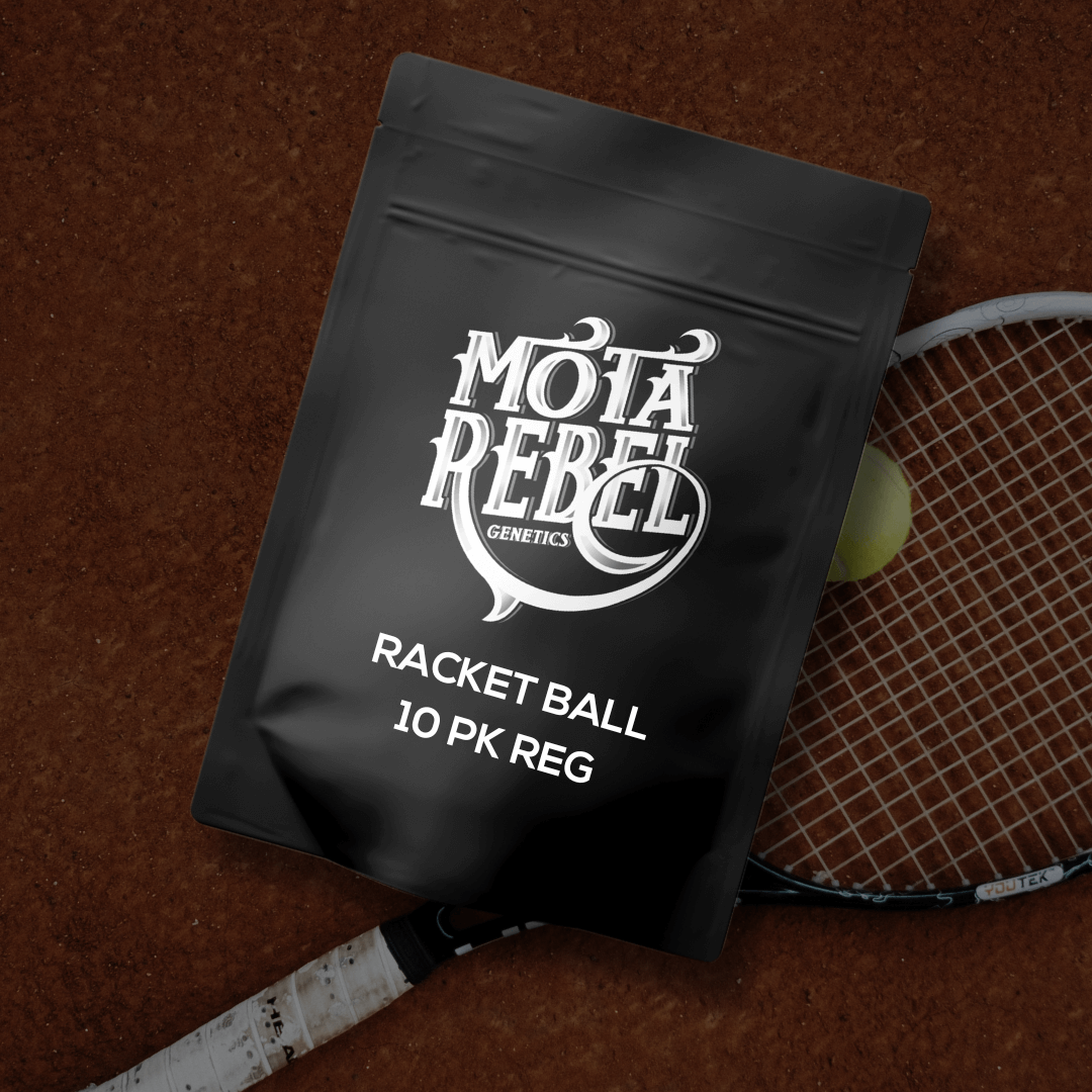 RACKET BALL (Deathstar x Chem91/Deathstar BX1)