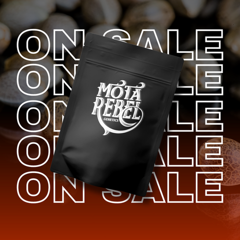 On Sale