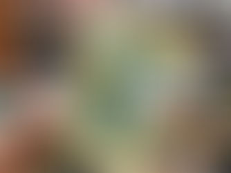 Book Review: 'Frankly in Love' by David Yoon