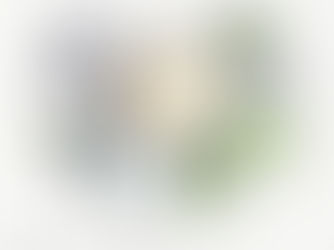 A Solution-Based Approach to Interior Design