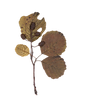 Лист 7