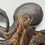 Thumbnail: Octopus