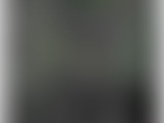 FVS Written Response to the USACE Miami-Dade Back Bay Coastal Storm Risk Management Report