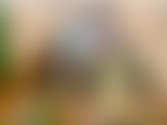 活動3ヶ月で“ど本命”のお相手とご成婚された女性会員Mさんの成婚インタビュー|結婚相談所デュオマリアージュ