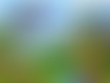 "РАЗНЫХ СКАЗОК МНОГО НА ПЛАНЕТЕ, МУДРЫМ СКАЗКАМ РАДУЮТСЯ ДЕТИ!"