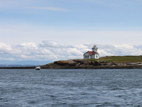 Learning about Islands, Watching Whales