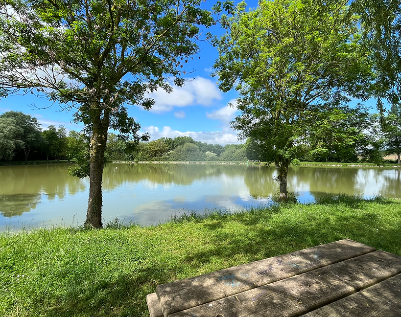 Etang de pêche
