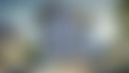 PV-Module senkrechte Montage