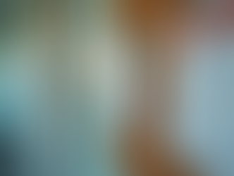 Access Job Seeker Support Services for New Zealand