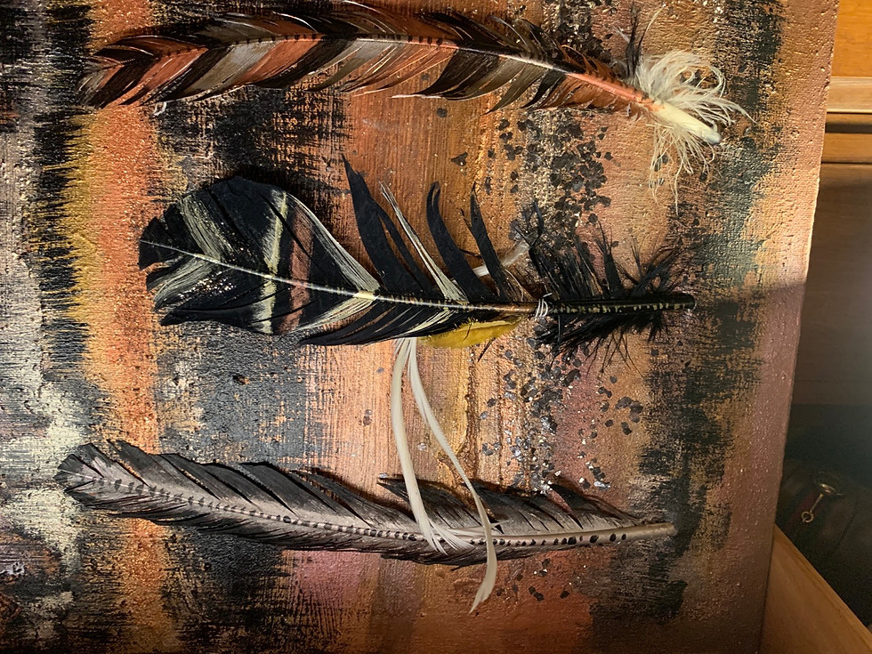 Thumbnail: Native Feathers