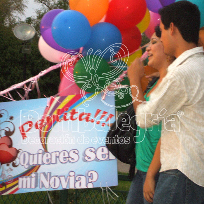 quieres ser mi novia 1.JPG
