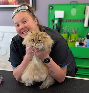 amanda + cat.jpg